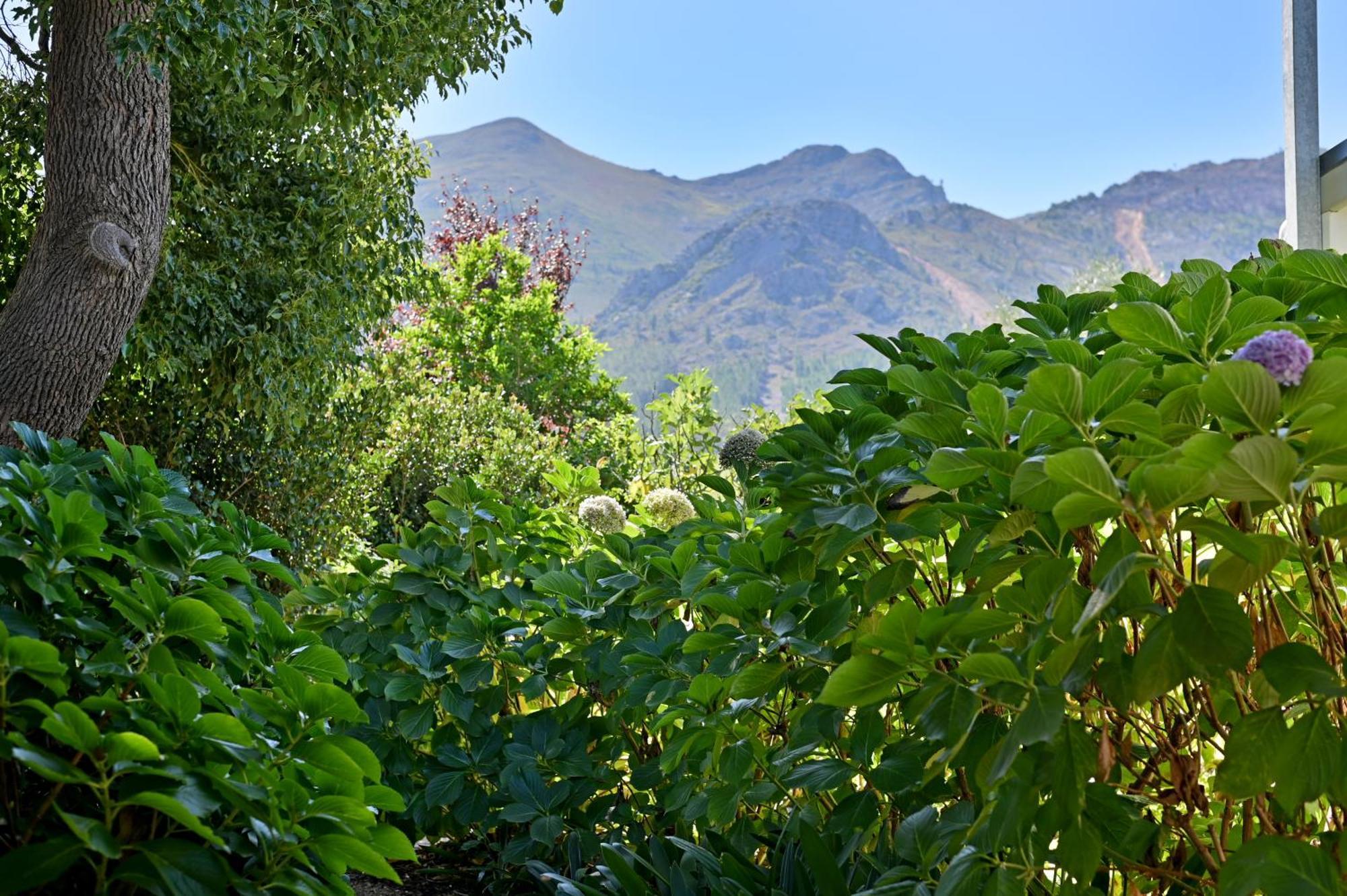 Fransvliet Guest House Franschhoek Eksteriør bilde