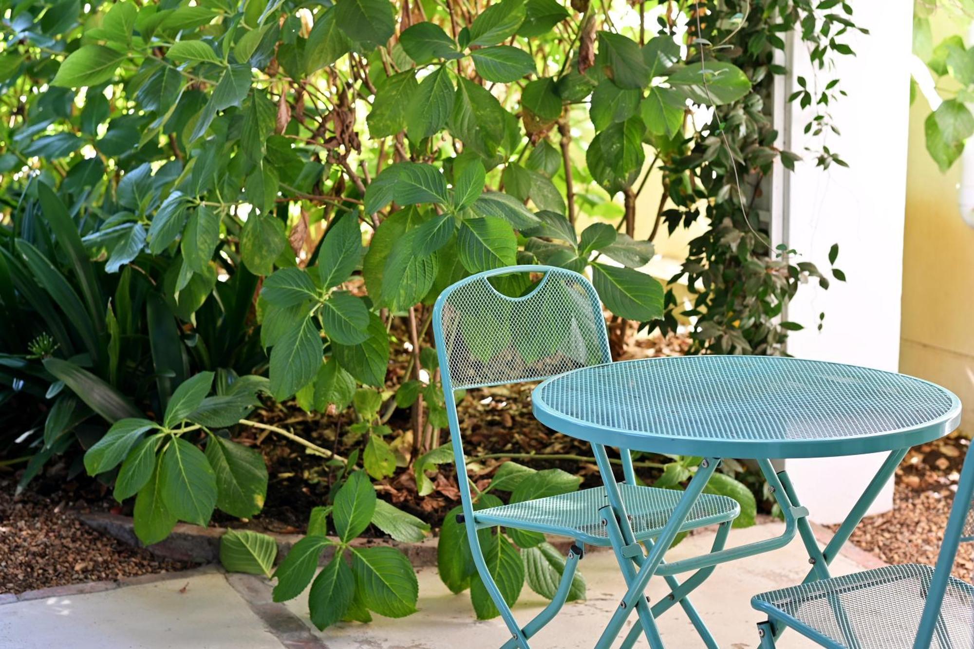 Fransvliet Guest House Franschhoek Eksteriør bilde